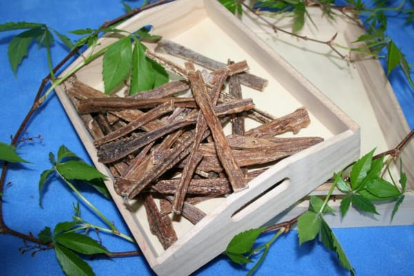 Euter-Sticks