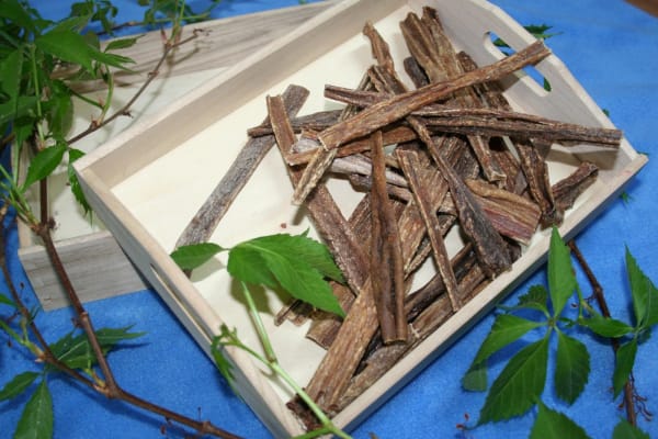 Euter-Sticks