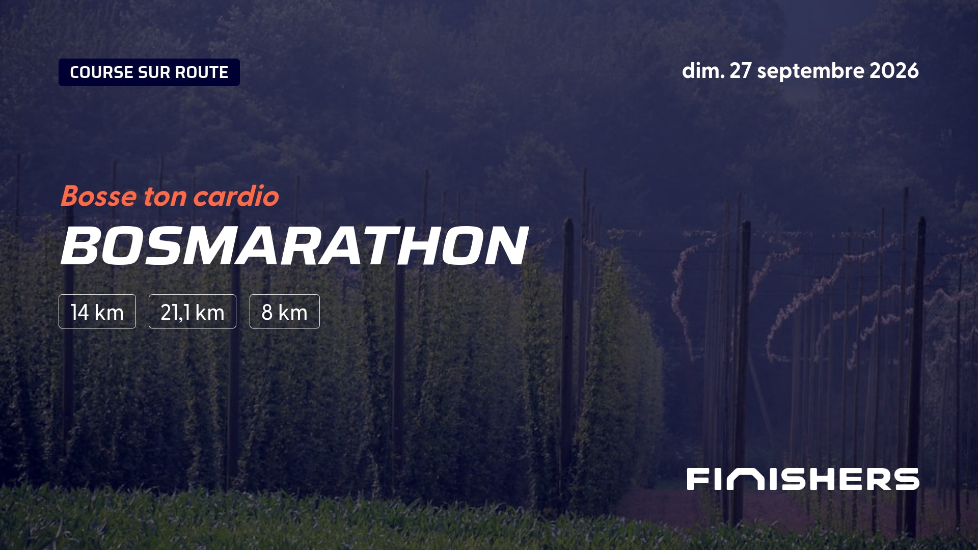 Bosmarathon — photo 4 sur 5