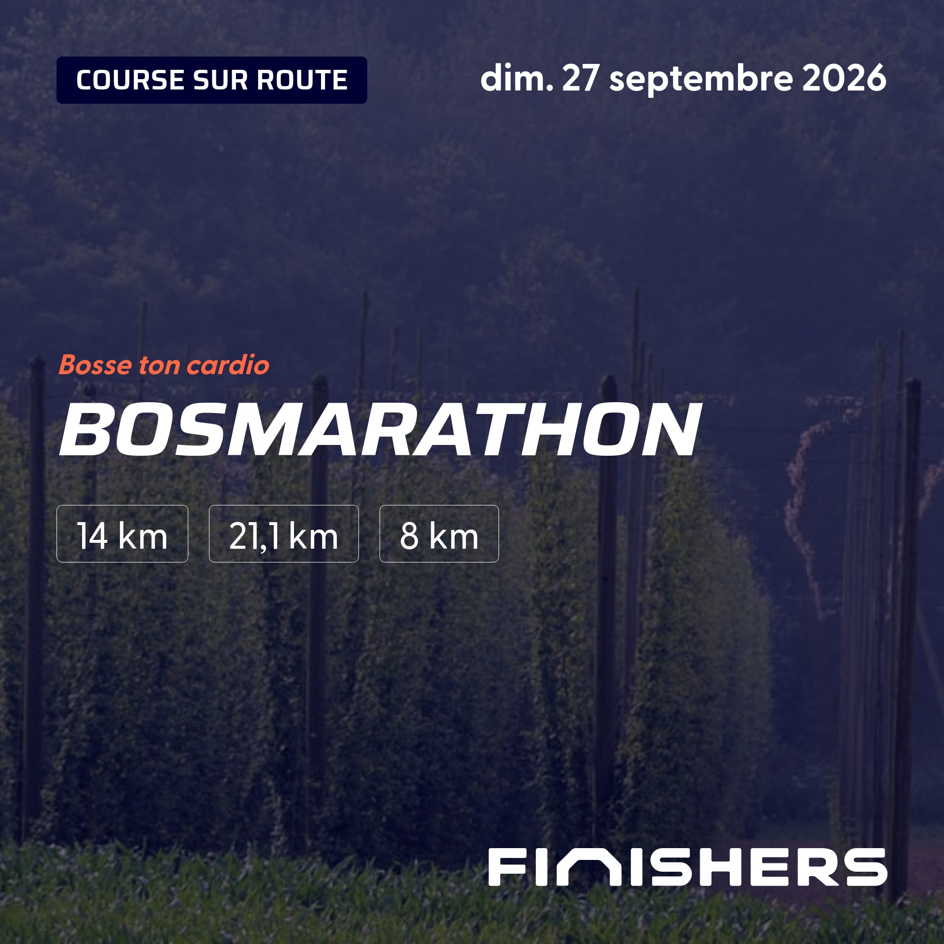 Bosmarathon — photo 2 sur 5