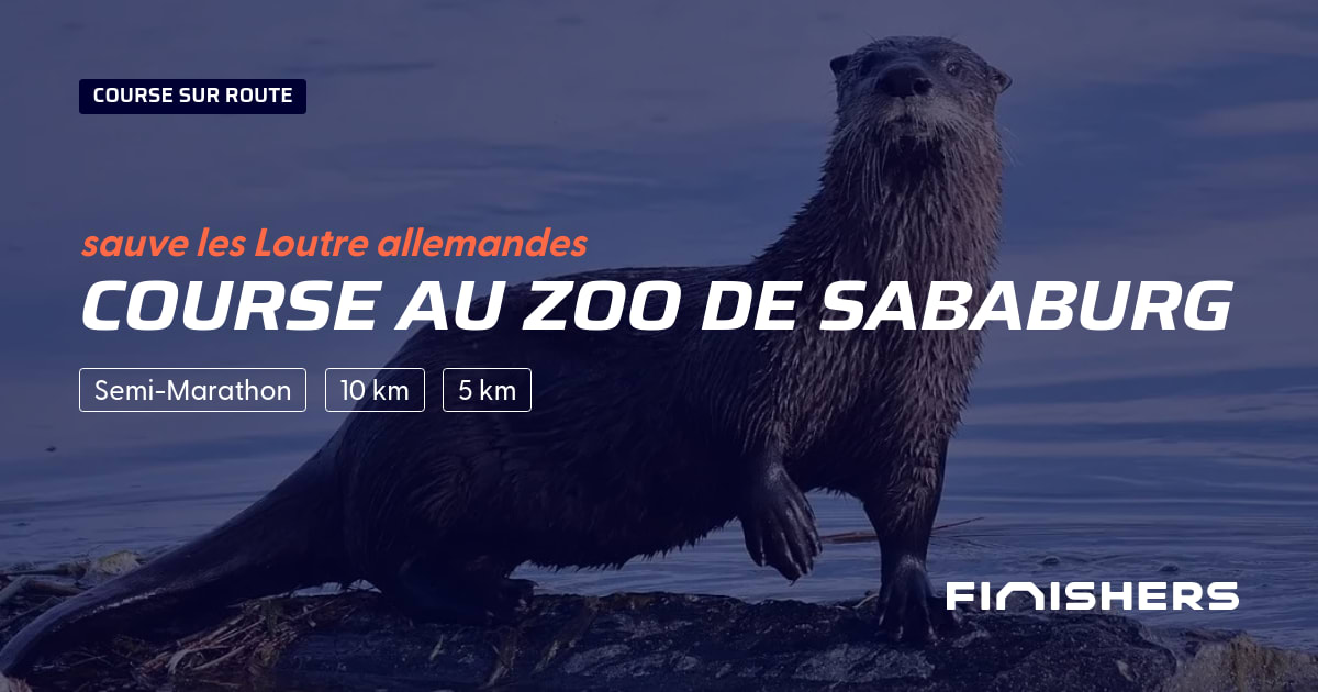 Course au zoo de Sababurg — 照片 2 在 2 上