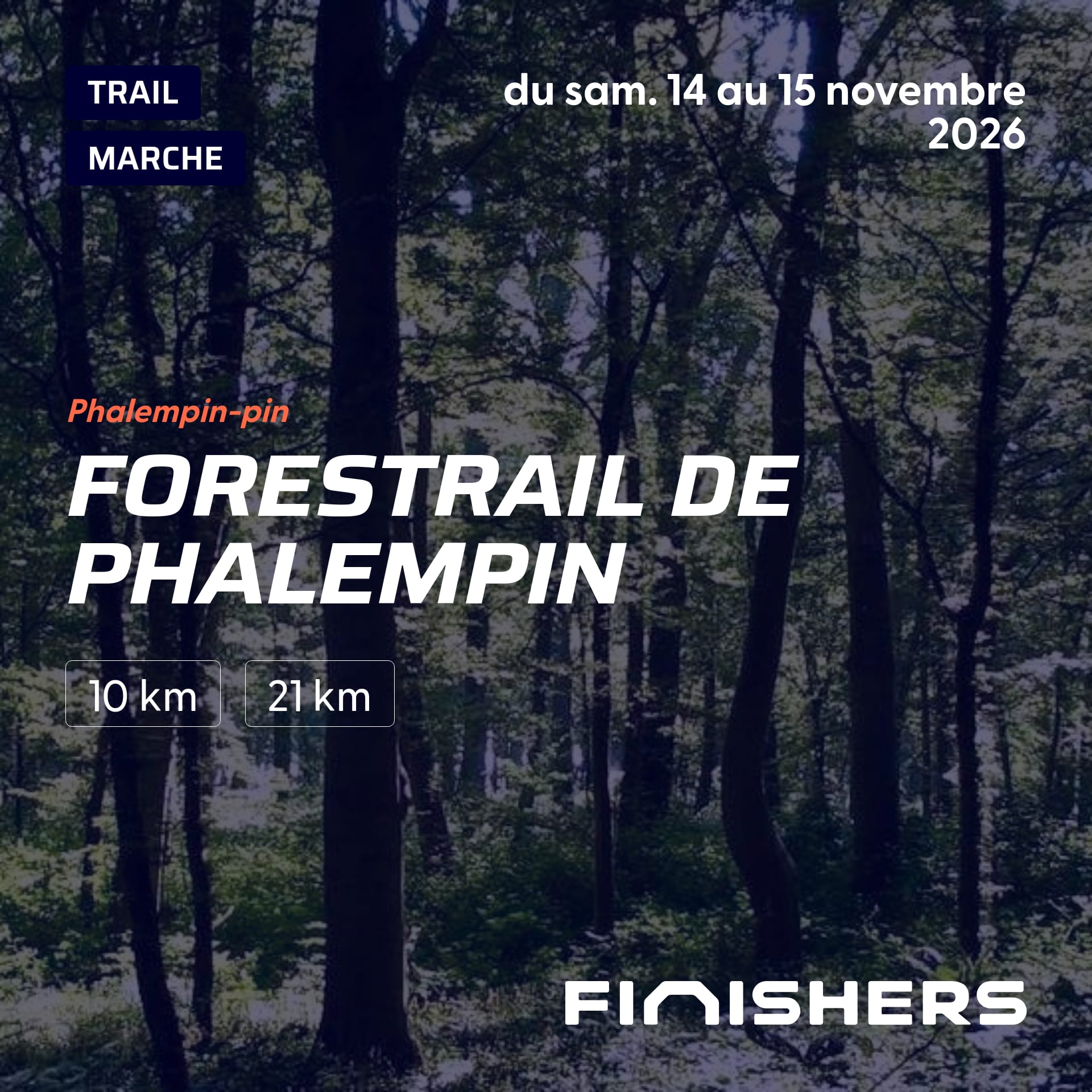 Forestrail de Phalempin — photo 2 sur 5