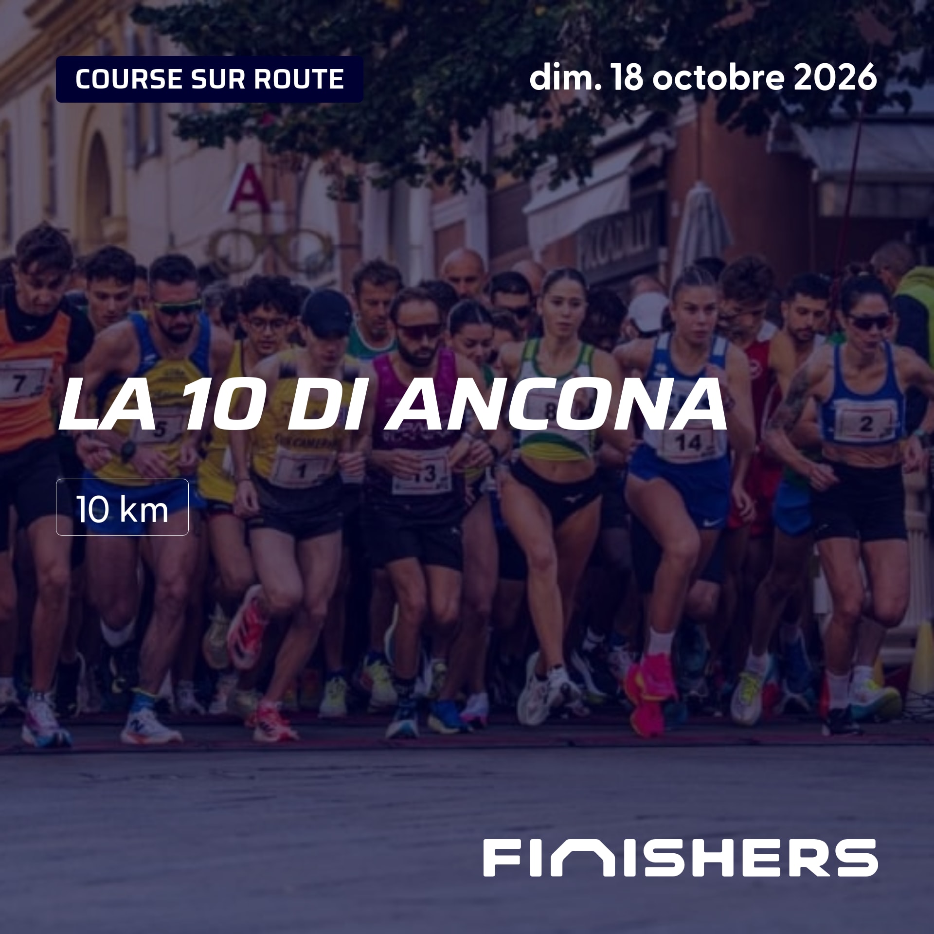 La 10 di Ancona — photo 2 sur 5