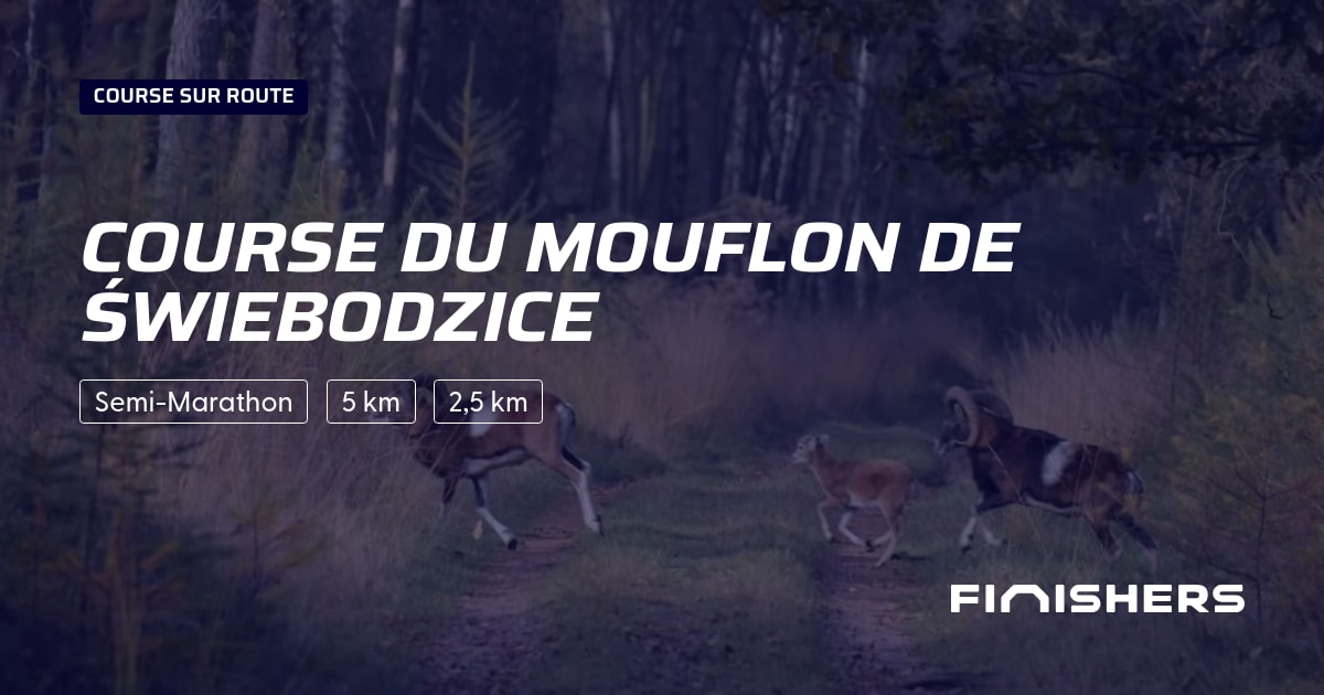 Course du Mouflon de Świebodzice — photo 2 of 2