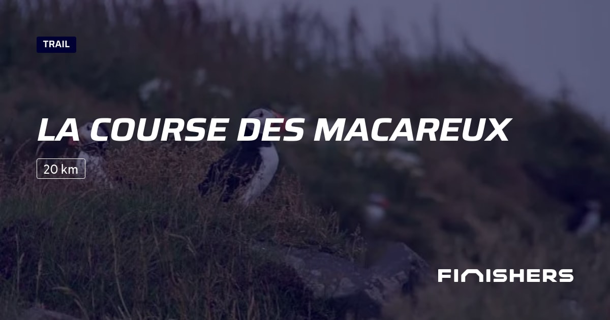 La Course des Macareux — photo 2 sur 2