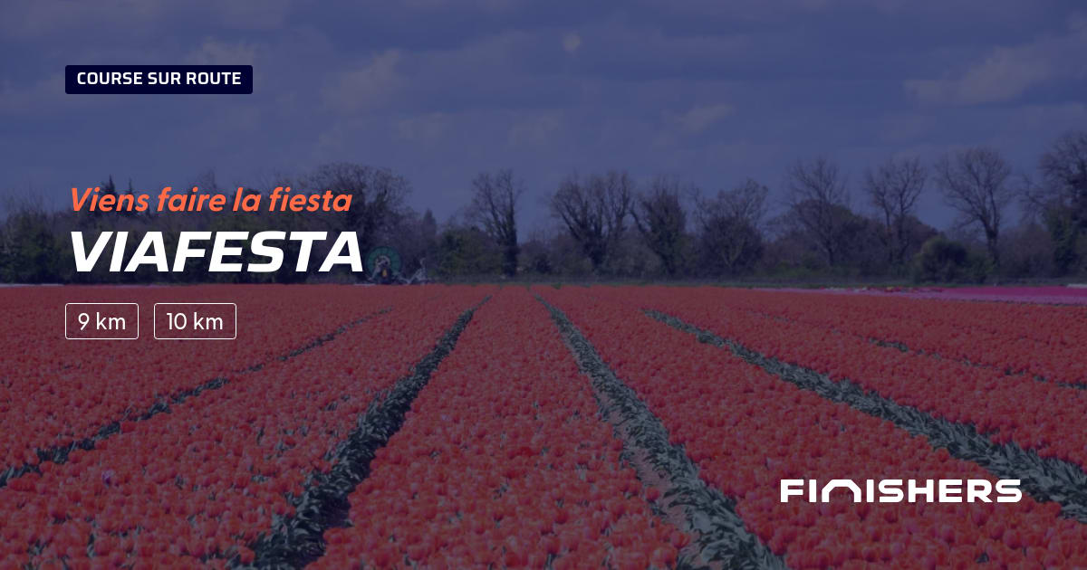 Viafesta — foto 2 op 2