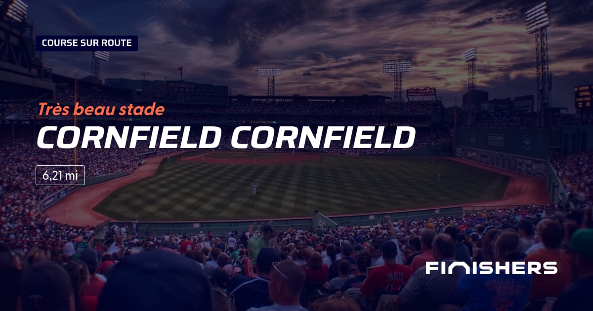 Cornfield Cornfield — foto 2 em 2
