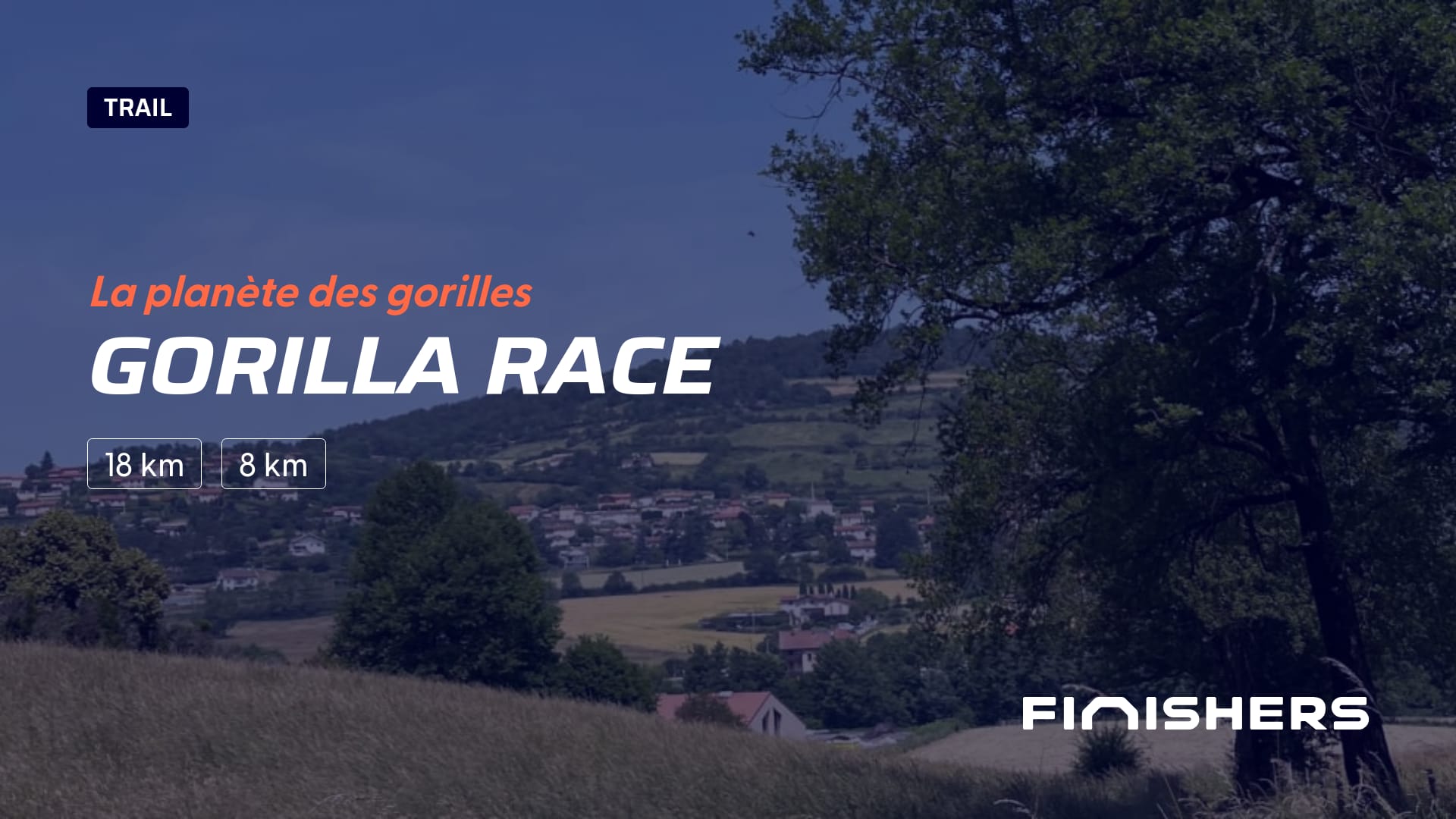 Gorilla Race — foto 4 en 5