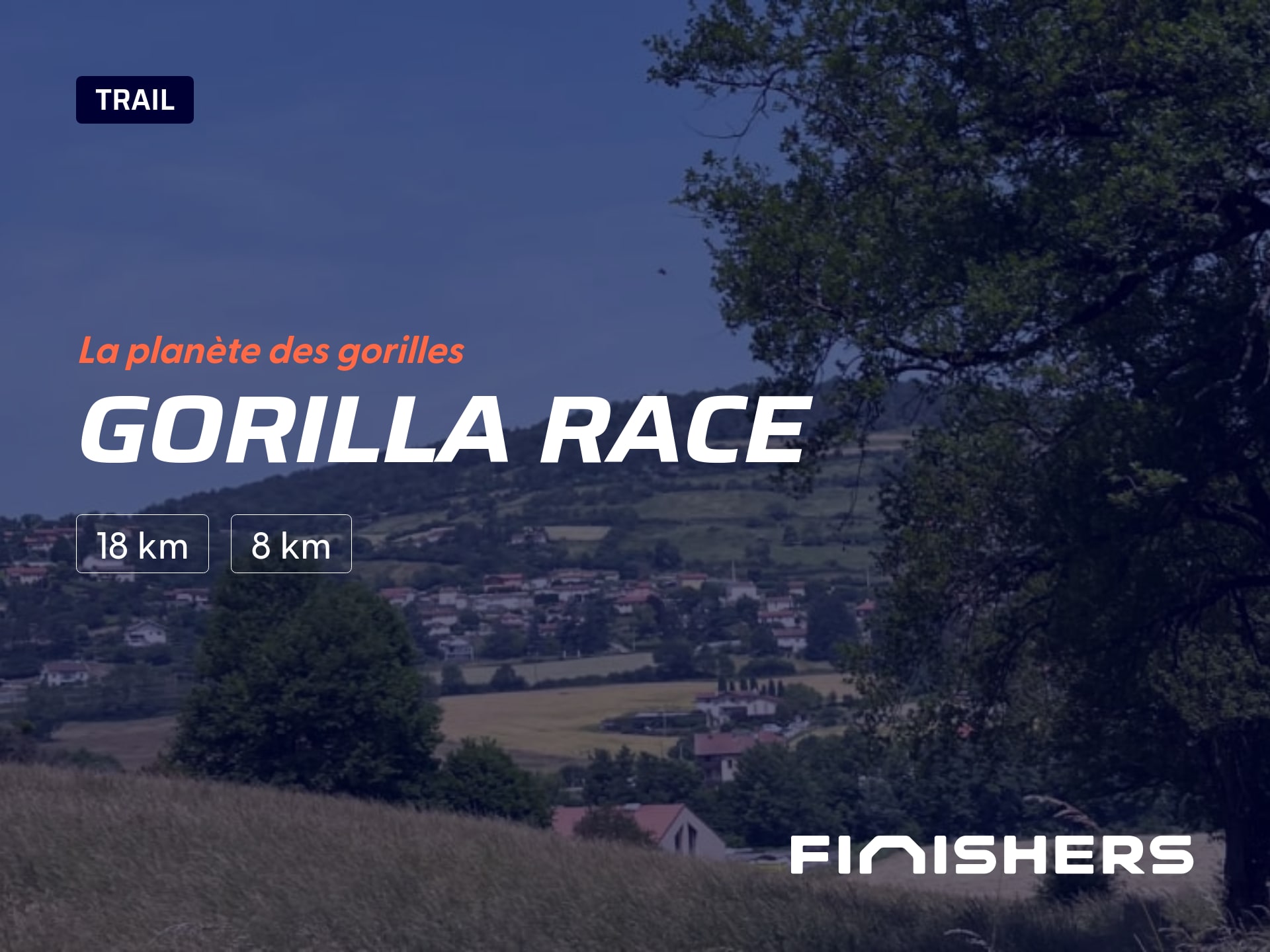 Gorilla Race — foto 3 en 5