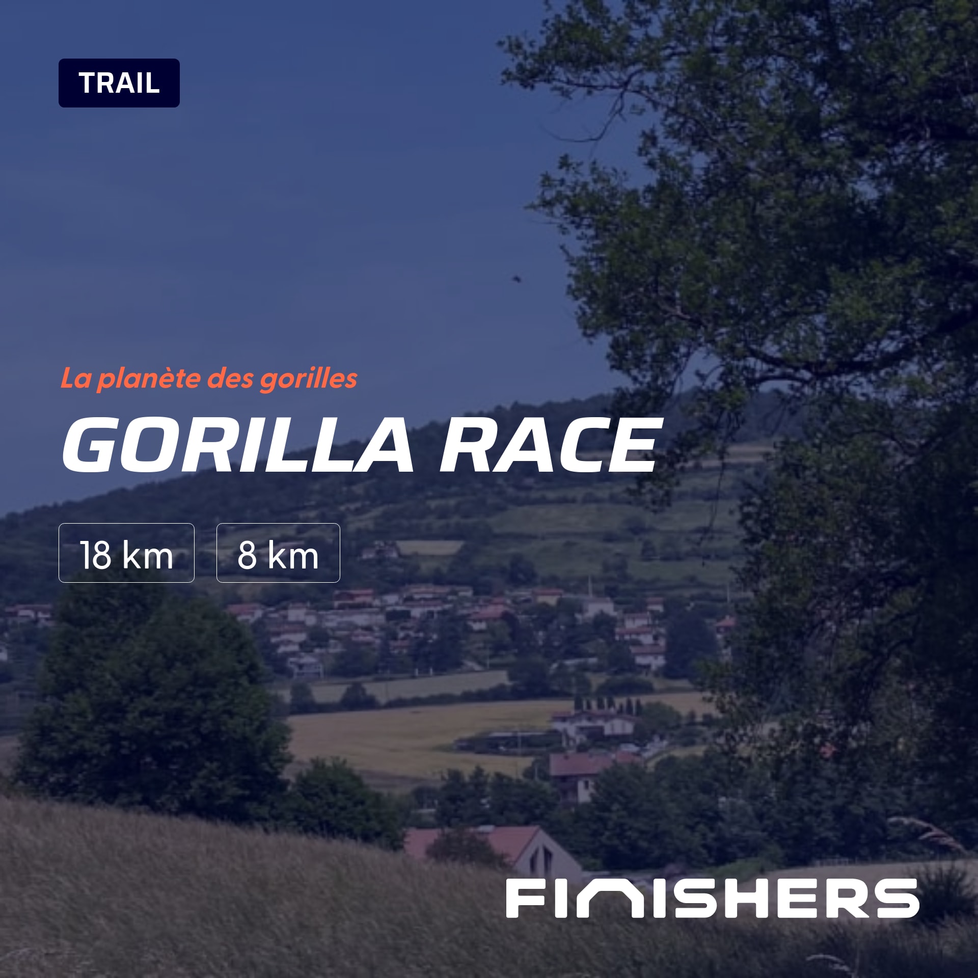 Gorilla Race — foto 2 en 5