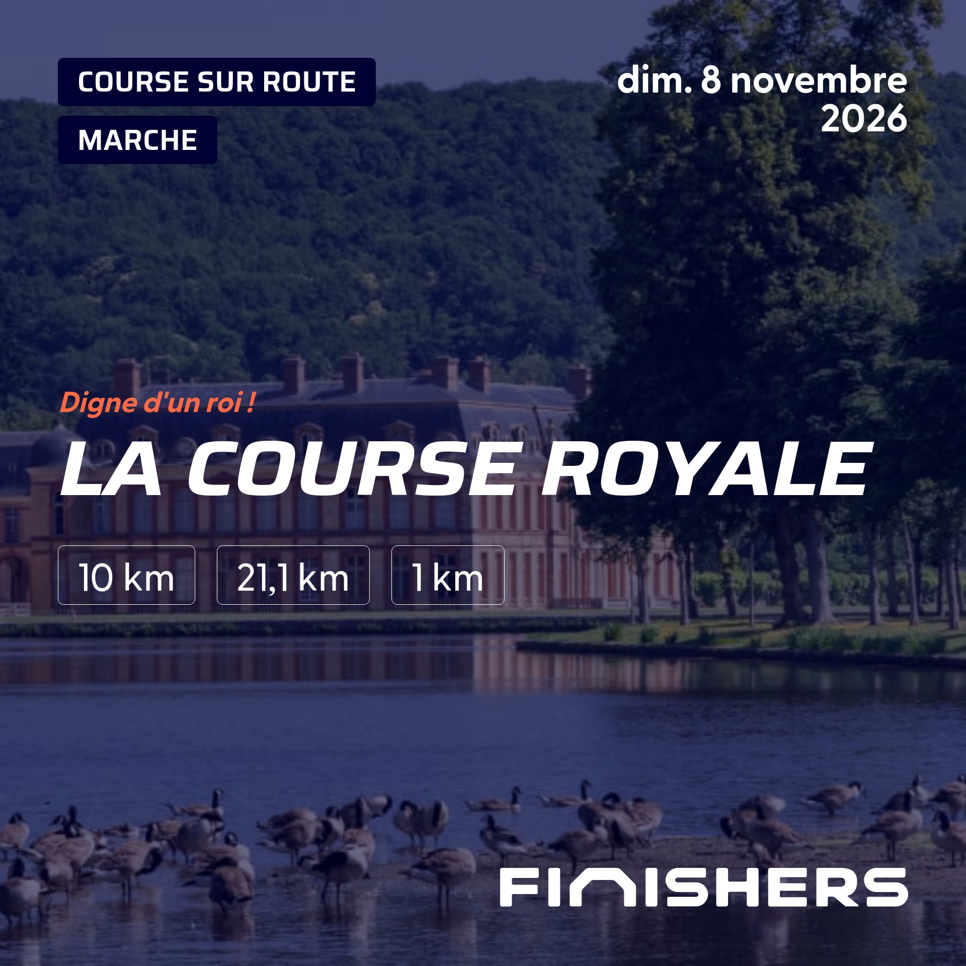 La Course Royale — foto 2 su 5