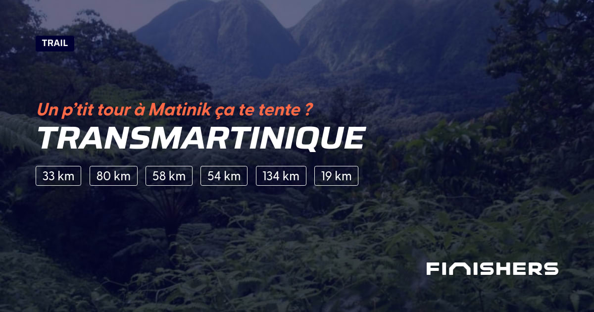 TransMartinique — Foto 2 auf 2