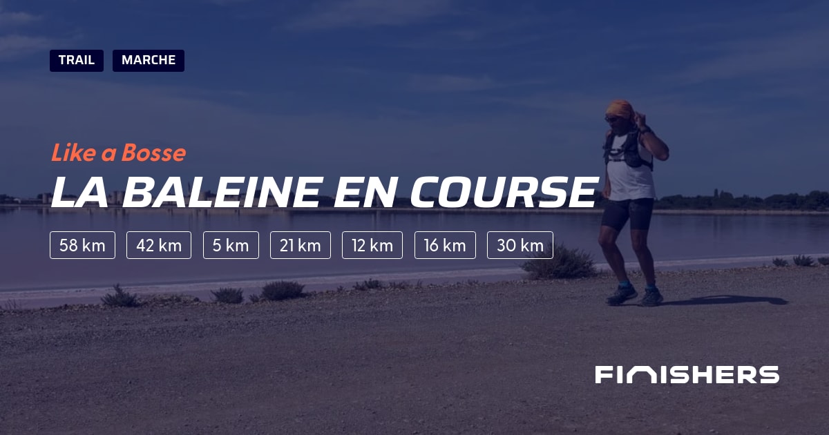 La Baleine en Course — photo 2 sur 2