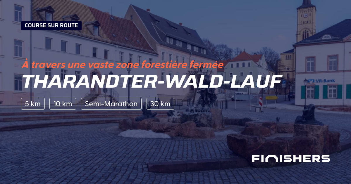 Tharandter-Wald-Lauf — bilde 2 på 2