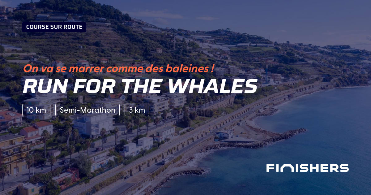 Run for the whales — photo 2 sur 2
