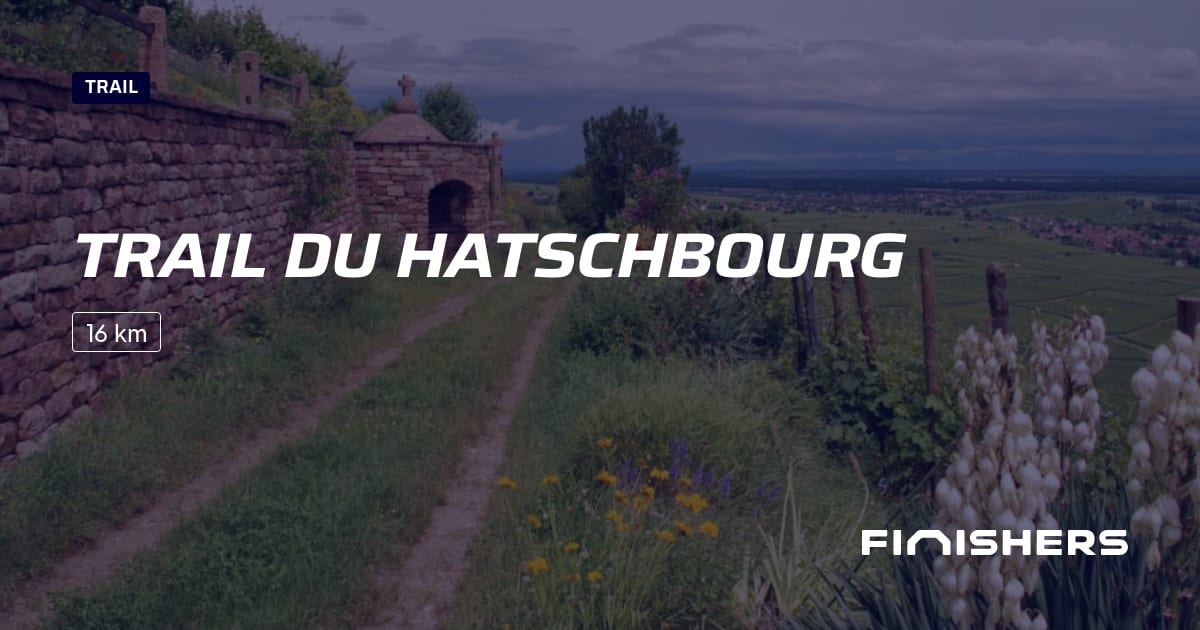 Trail du Hatschbourg — फोटो 2 2 पर