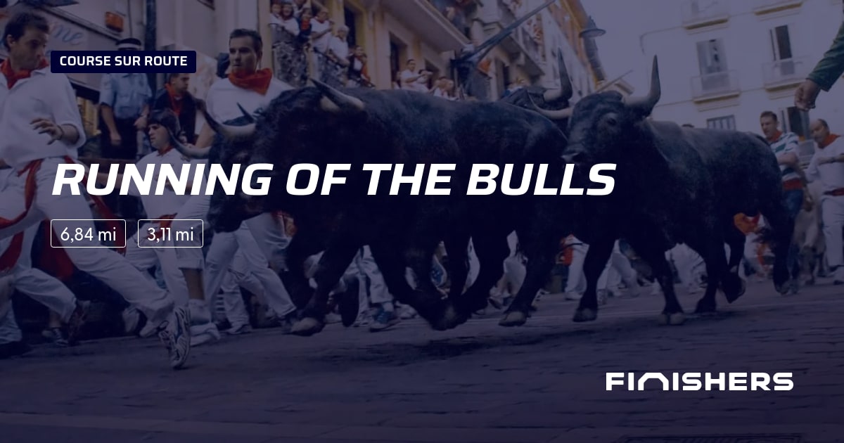 Running of the Bulls — 사진 2 on 2