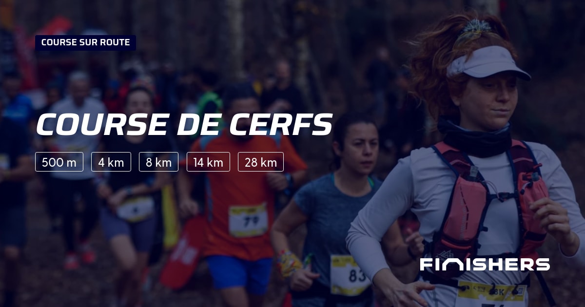 Course de cerfs — photo 2 sur 2