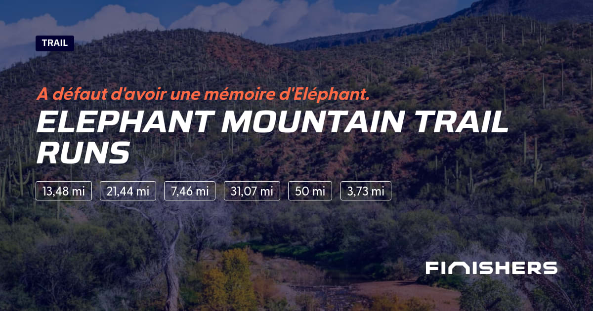Elephant Mountain Trail Runs — zdjęcie 2 na 2