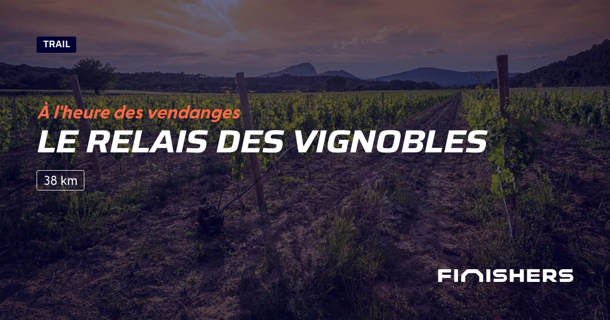 Le Relais des Vignobles — 2 の 2 の写真