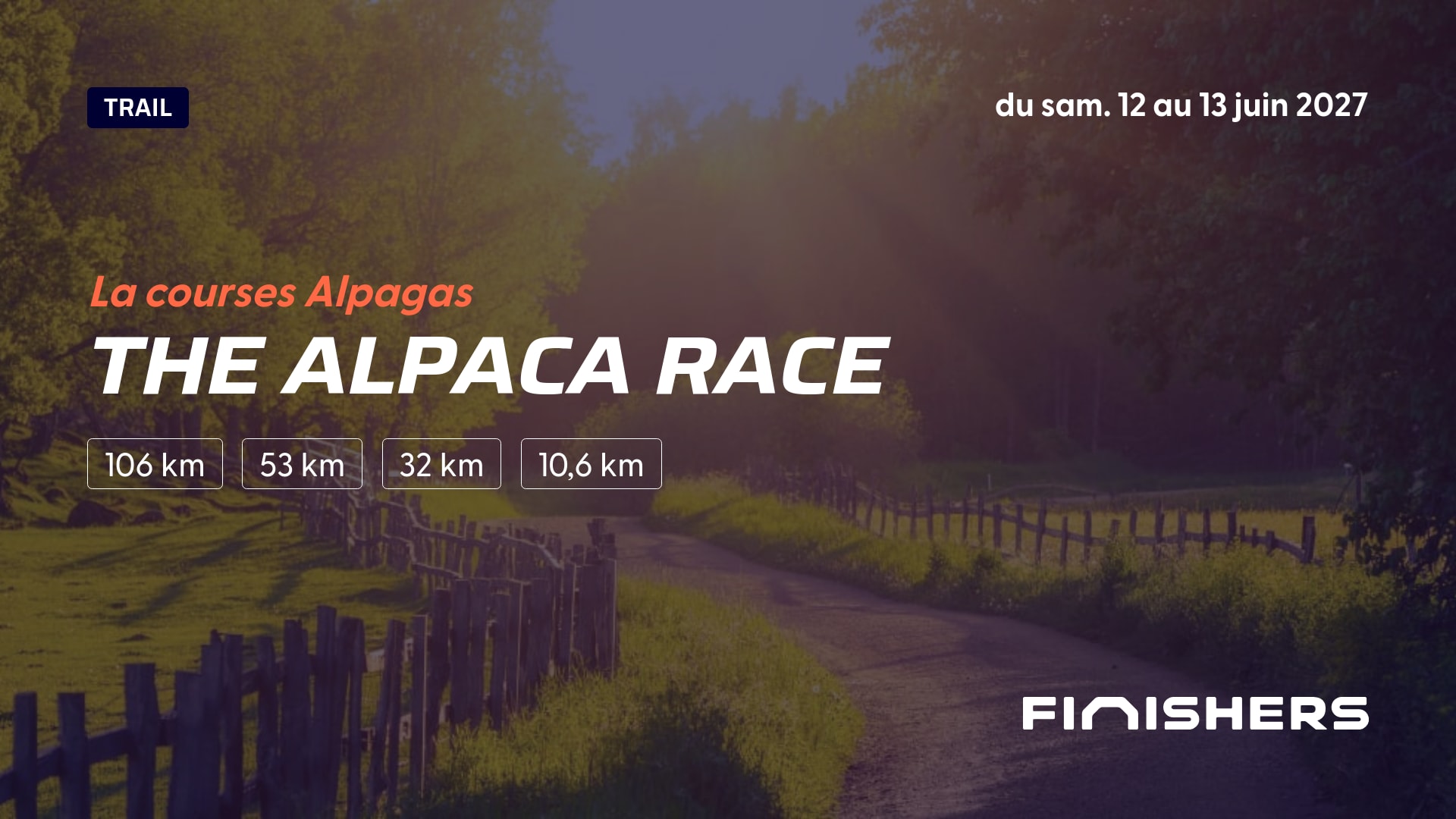 The Alpaca Race — zdjęcie 4 na 5