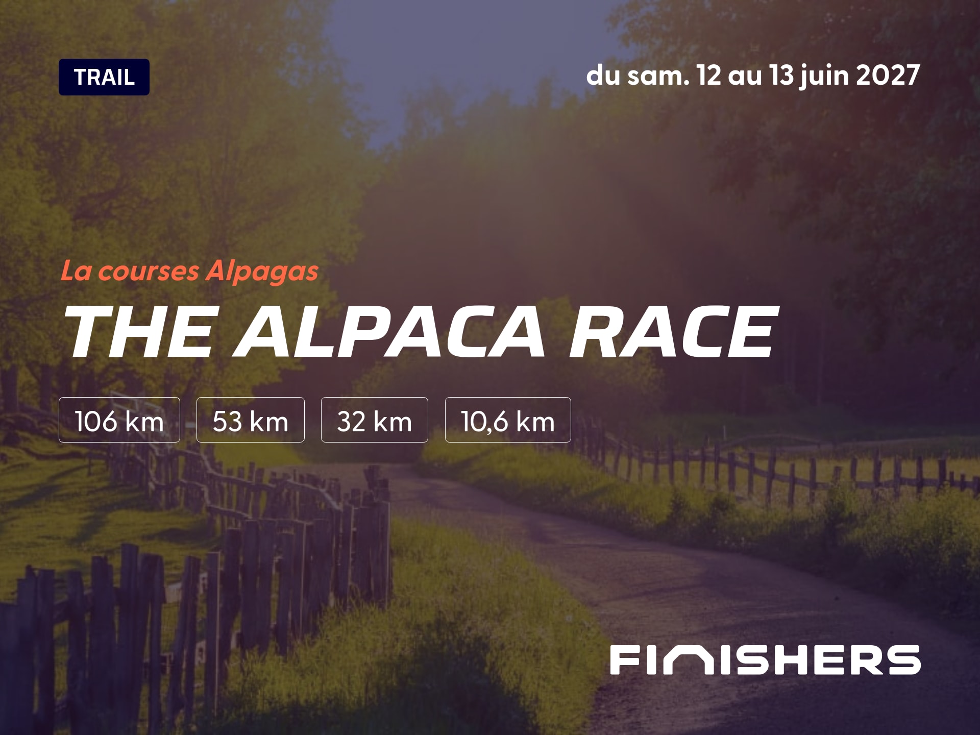 The Alpaca Race — zdjęcie 3 na 5