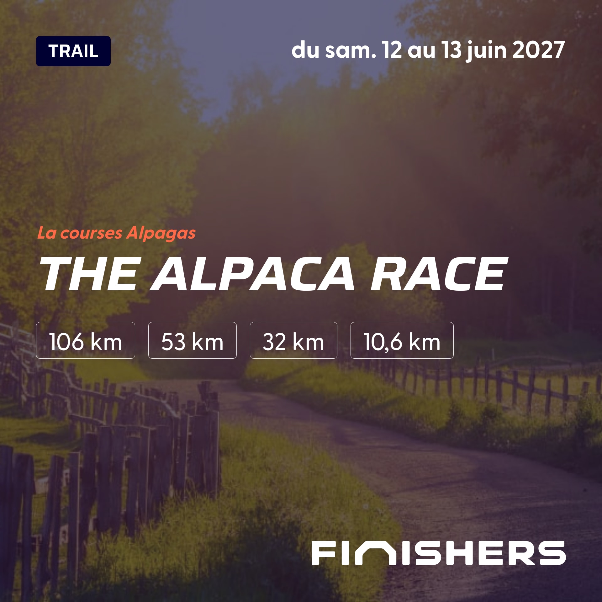The Alpaca Race — zdjęcie 2 na 5
