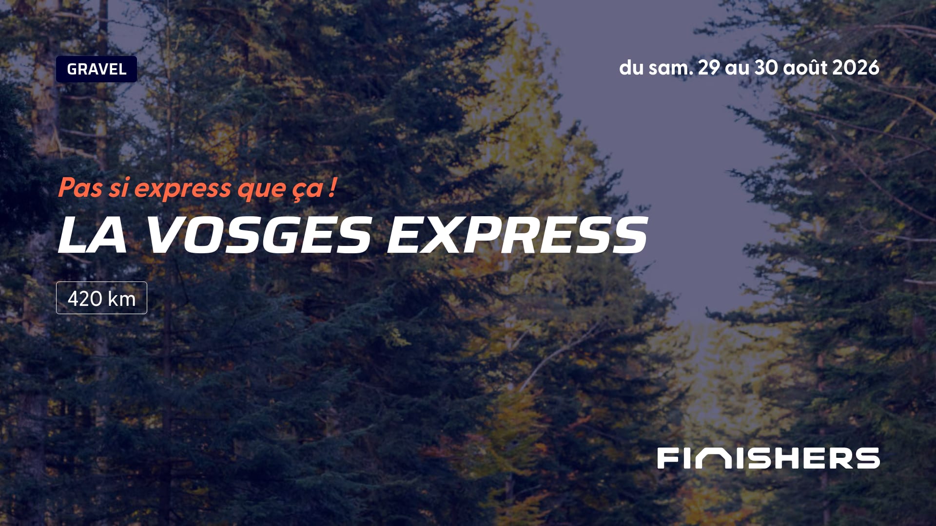 La Vosges Express — photo 4 sur 5
