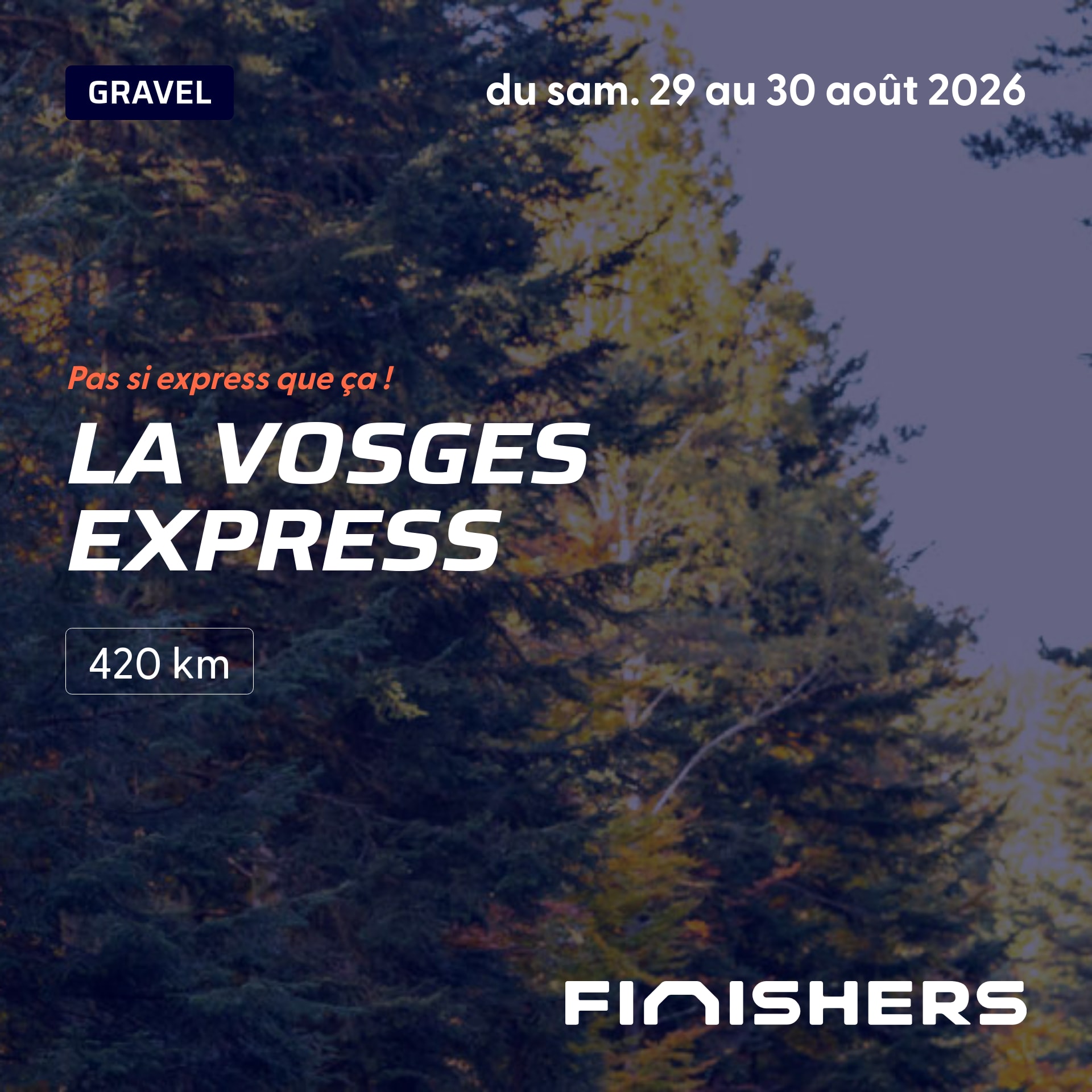 La Vosges Express — photo 2 sur 5