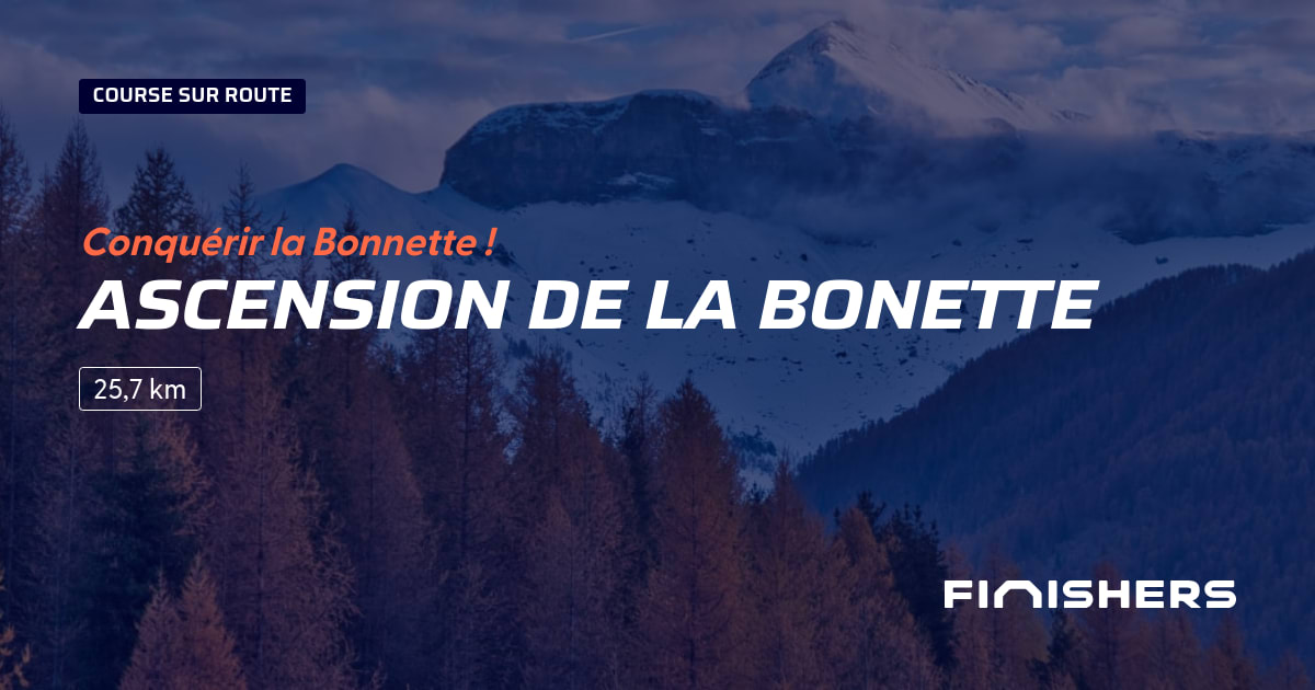 Ascension de la Bonette — Foto 2 auf 2