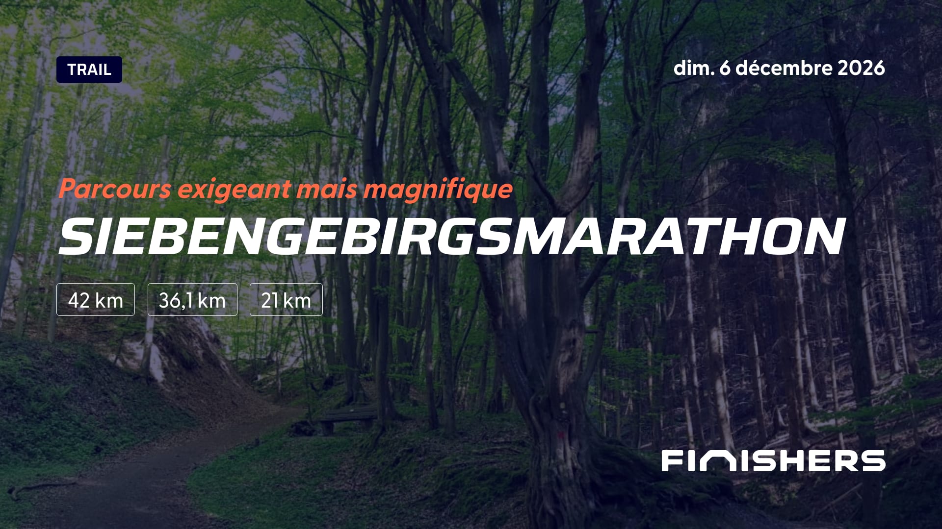 Siebengebirgsmarathon — photo 4 sur 5