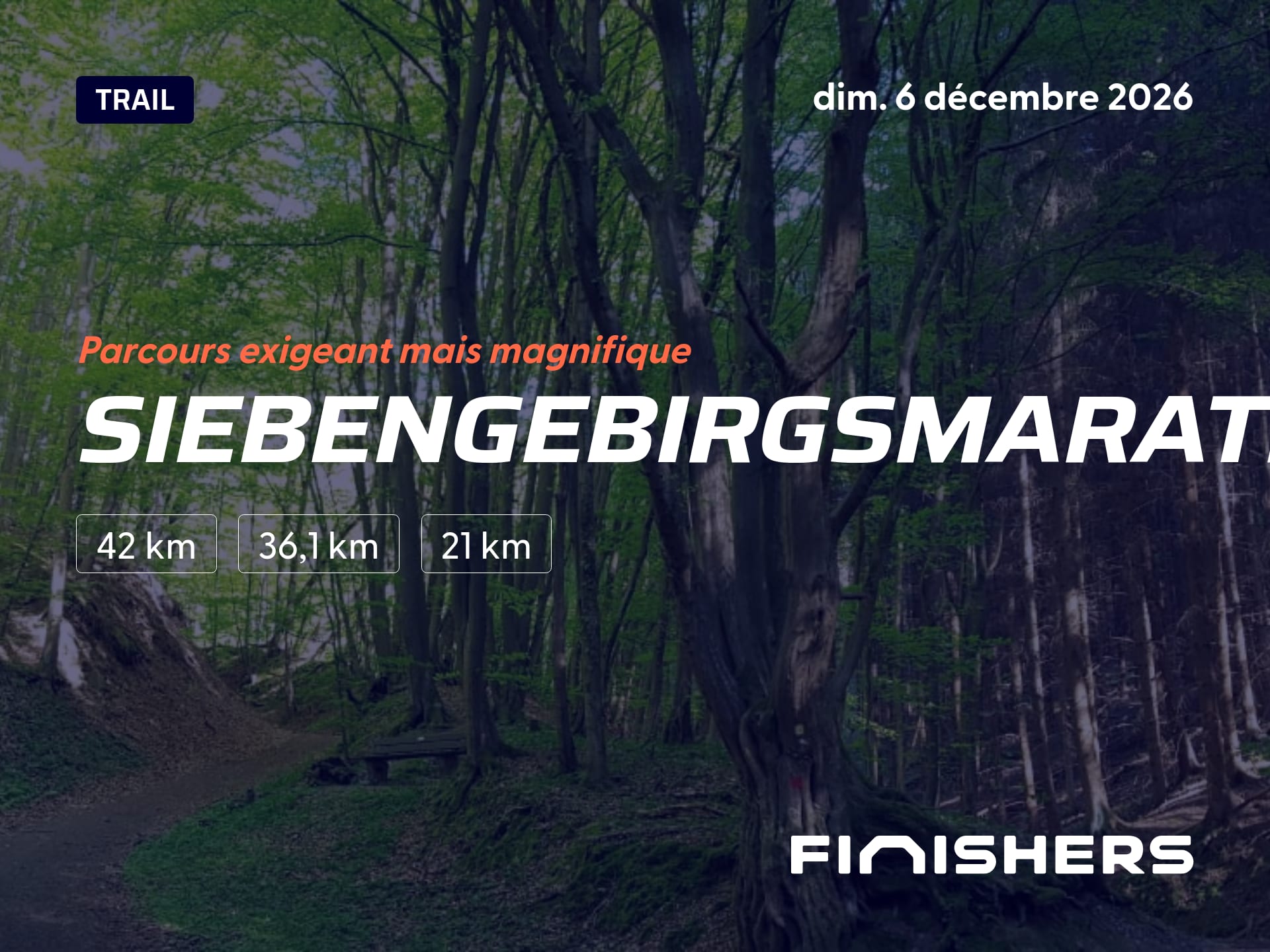 Siebengebirgsmarathon — photo 3 sur 5