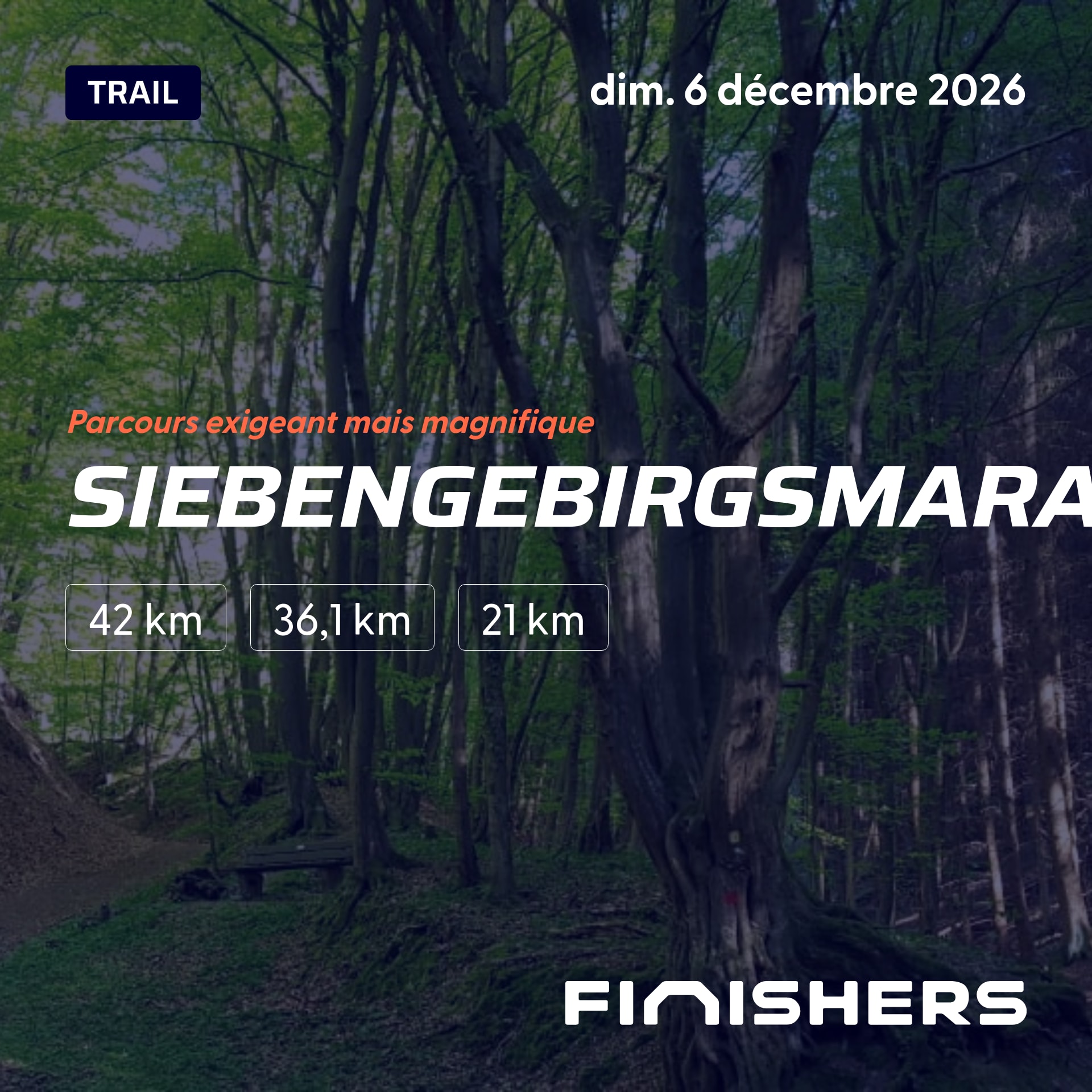 Siebengebirgsmarathon — photo 2 sur 5