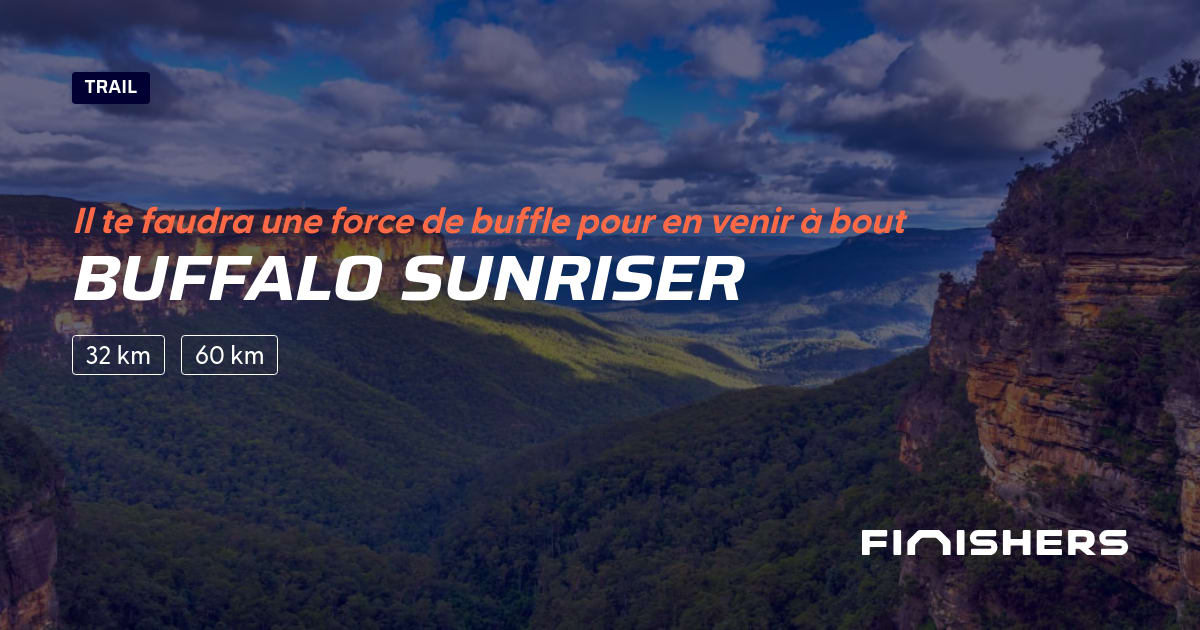 Buffalo Sunriser — الصورة 2 على 2