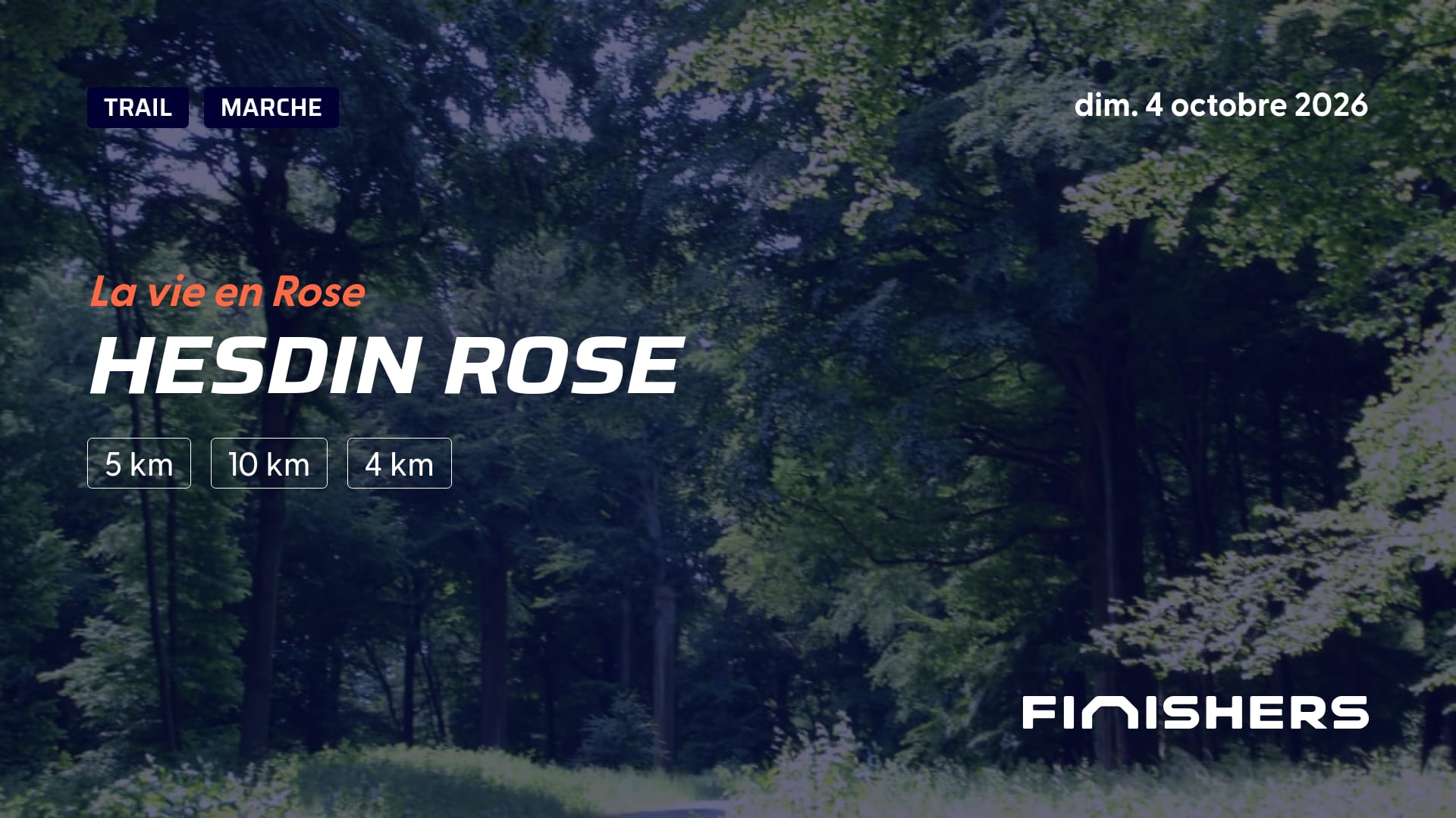 Hesdin Rose — photo 4 sur 5