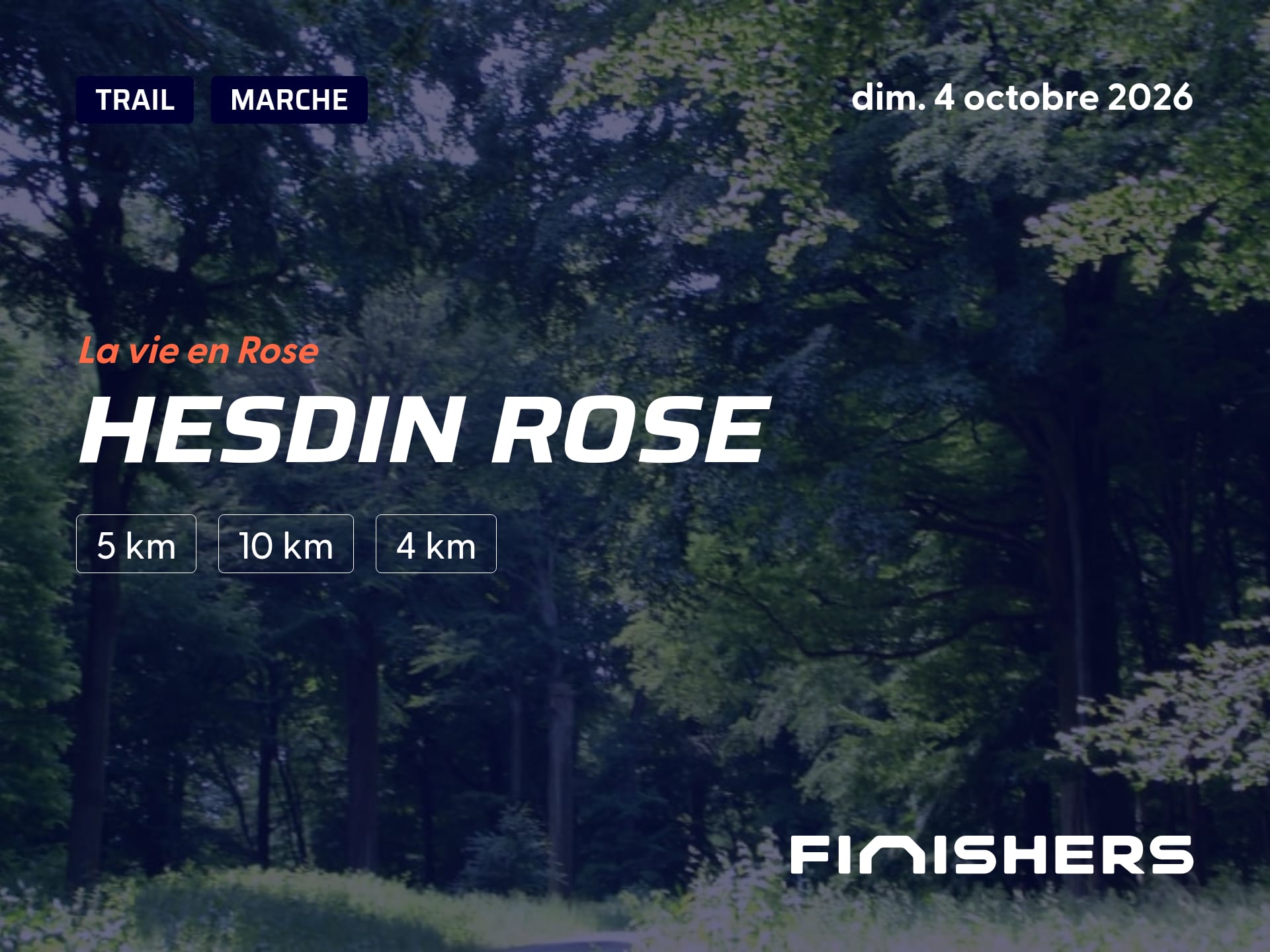 Hesdin Rose — photo 3 sur 5