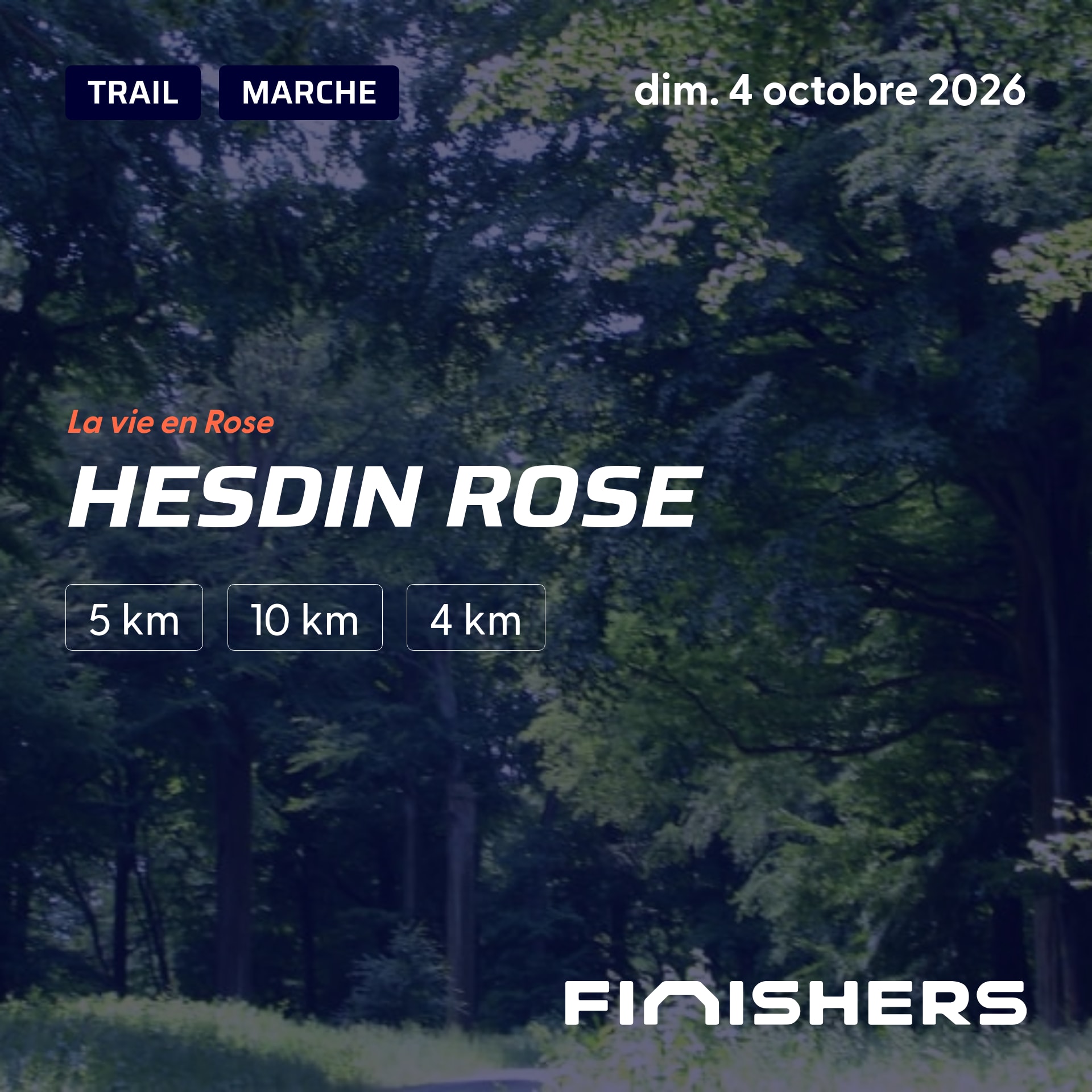 Hesdin Rose — photo 2 sur 5