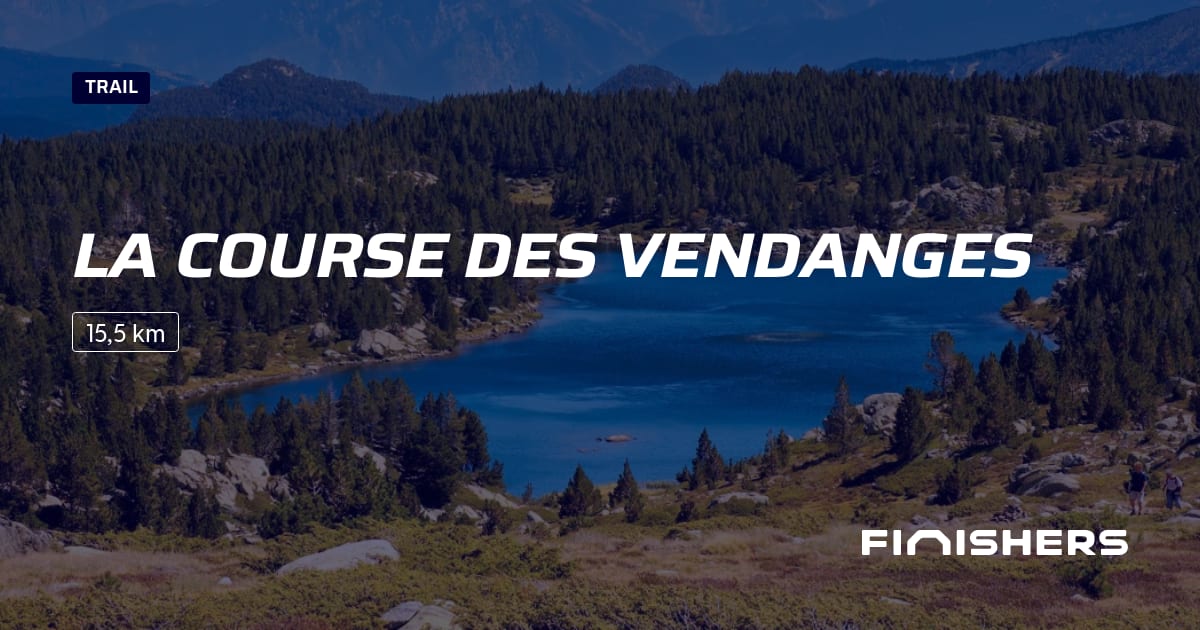 🏃 La Course des Vendanges 2025 Parcours, inscriptions & résultats Finishers
