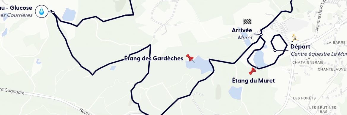 GPX