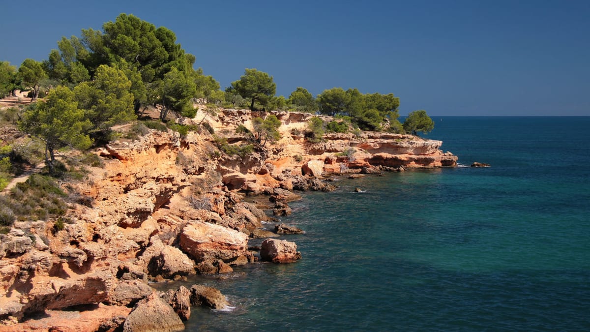 Mussara Salou Costa Daurada - Salou