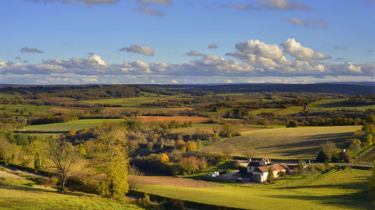 Les Automnales - Chemilly-sur-Yonne
