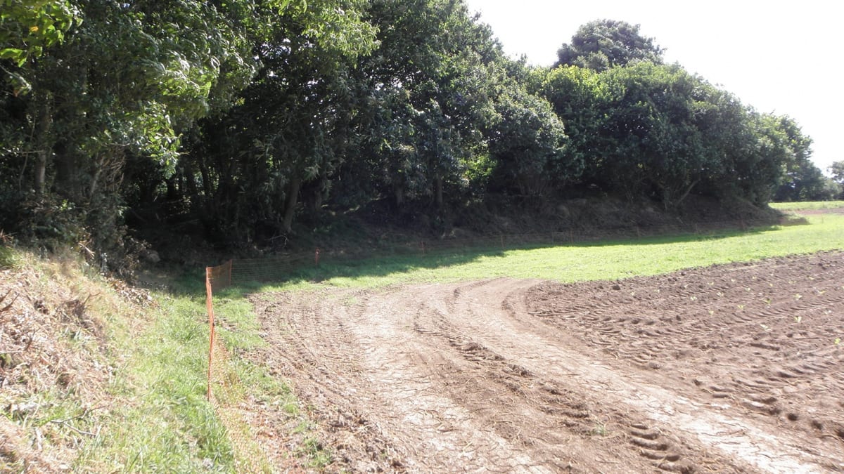 Trail des Cerises - Plouégat-Guérand