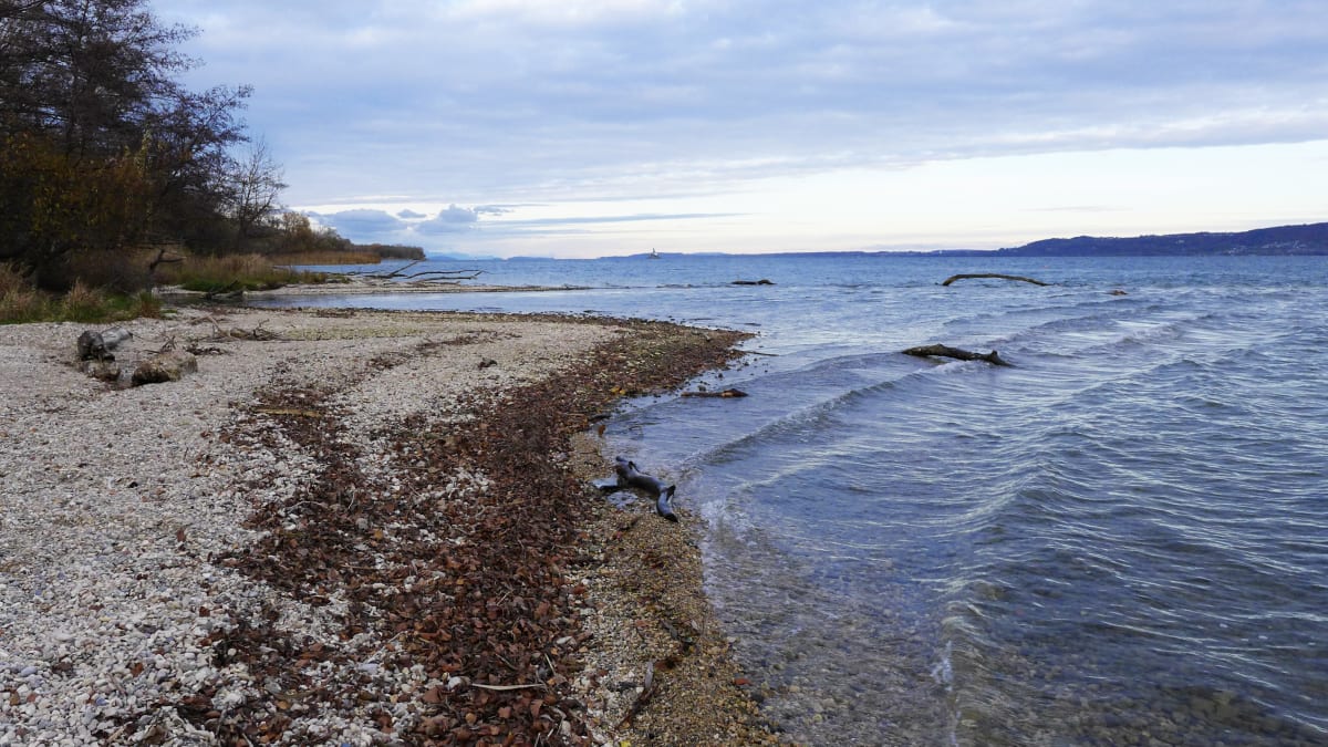 SwimRun de Sidiailles - Sidiailles
