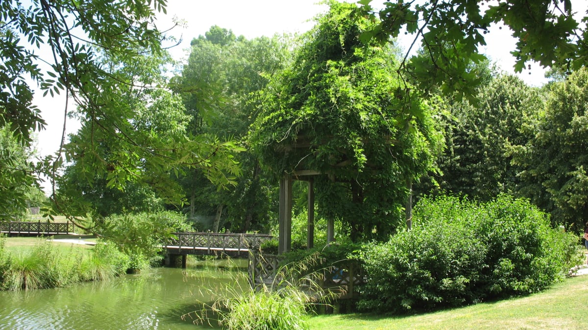 Trail de Chamerolles et Rabajou - Chilleurs-aux-Bois