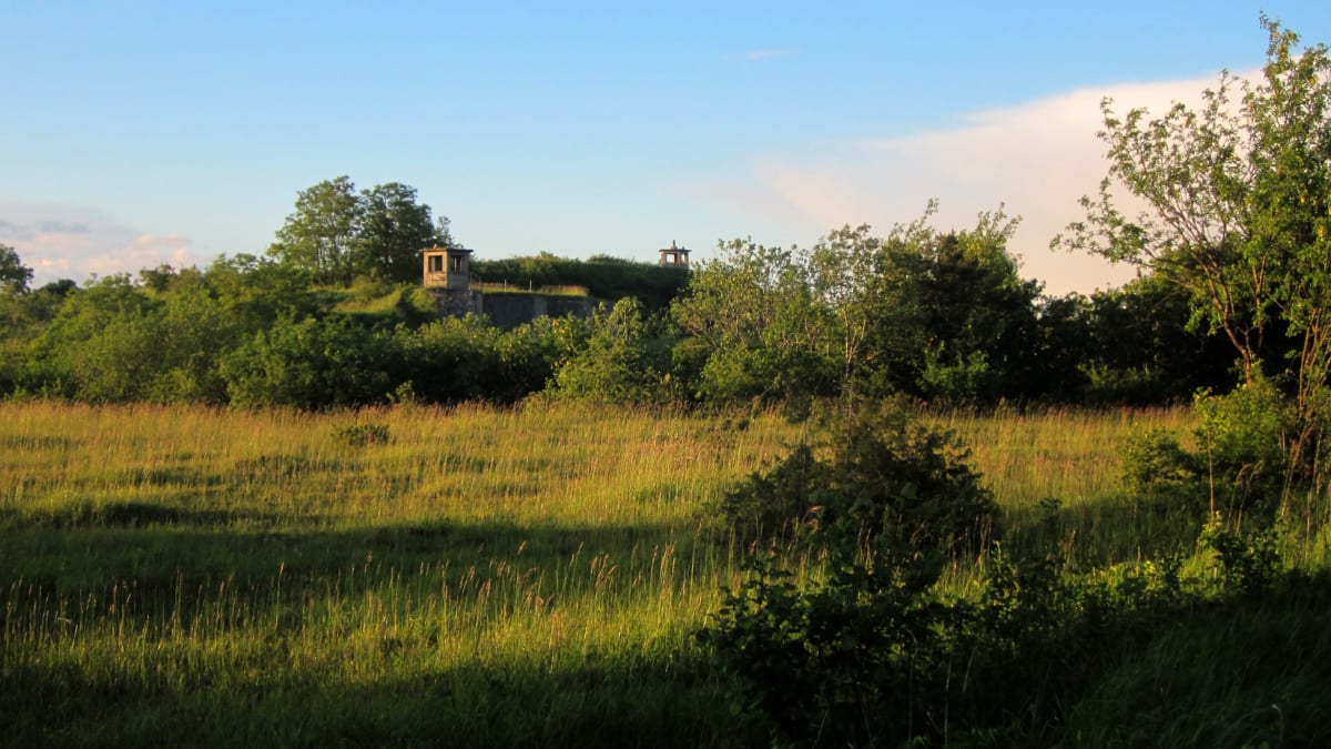 Bacca' trail - Pettonville
