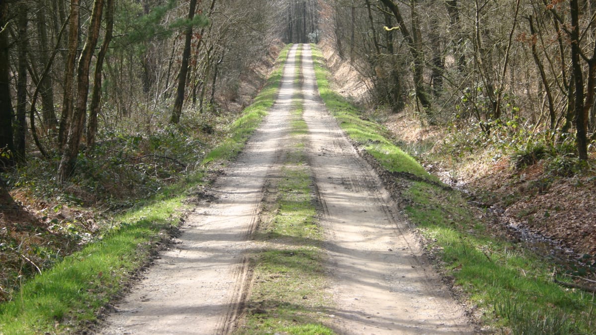 Trail De La Montagne De Gury - Gury