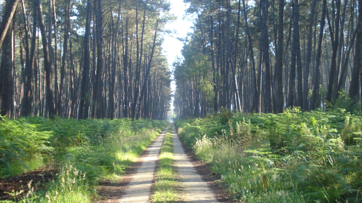 La Conquérante - Damblainville