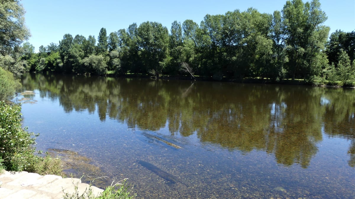 La Foulée des Tourterelles - Saint-Géraud-de-Corps