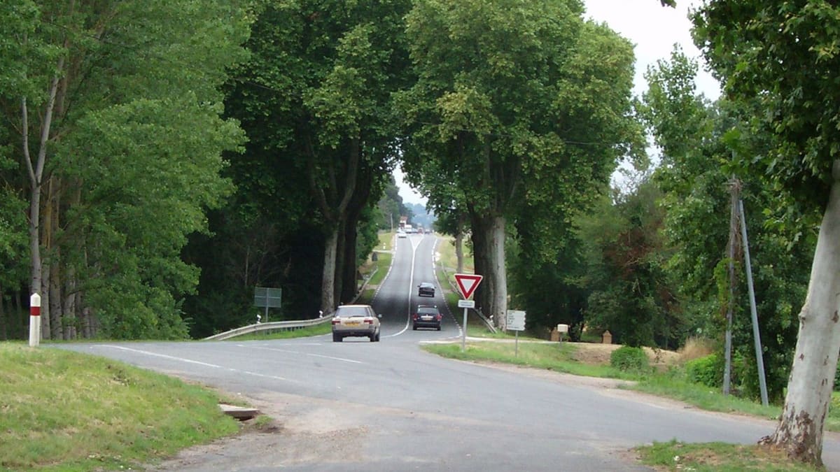 Trophée de la fraise - Sainte-Bazeille