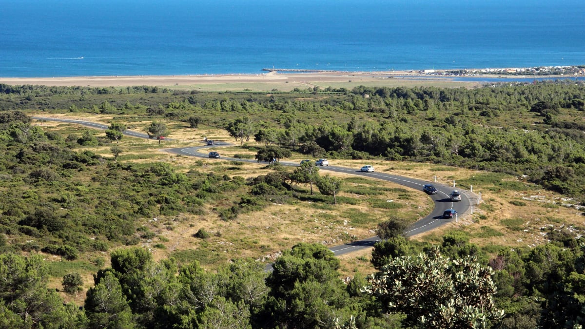 Lou Camel SwimRun - Sauvian